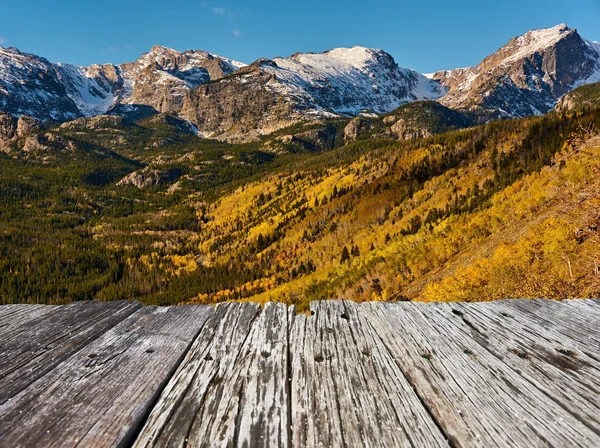 Аспен роща осенью в Скалистых горах — стоковое фото