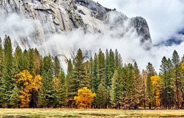 Yosemite Vadisi Bulutlu bir sonbahar sabahı 