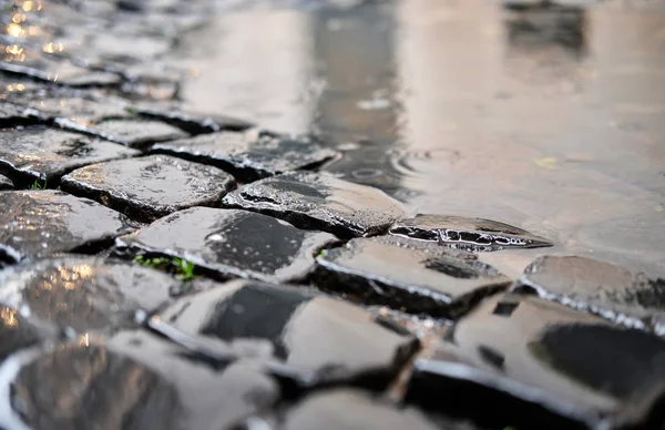 Cobblestone tijolo pavimentado rua em Roma — Fotografia de Stock