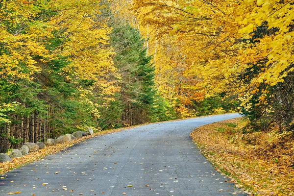 Herbststraße in Maine — Stockfoto