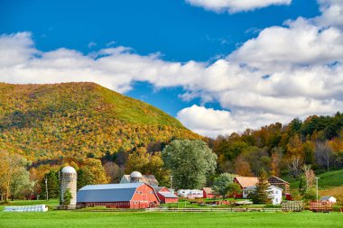 Vermont 'ta kırmızı ahır ve siloları olan bir çiftlik.