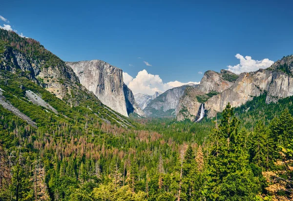 Летний пейзаж долины Йосемити — стоковое фото