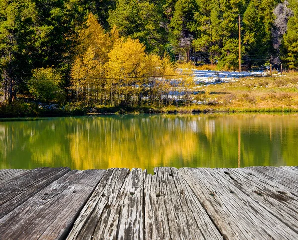 Herbst-Espen in colorado, Vereinigte Staaten — Stockfoto