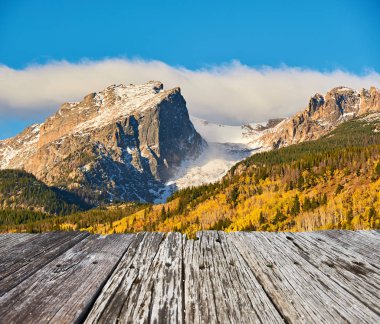 Rocky Dağları'nda sonbaharda Aspen korusu