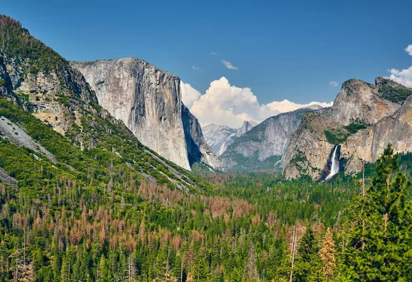 Dolina Yosemite National Park summer krajobraz — Zdjęcie stockowe