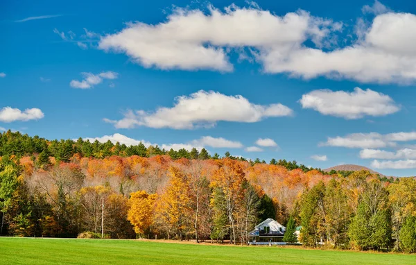 Paesaggio autunnale con casa nella foresta — Foto Stock