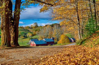 Güneşli sonbahar sabahında ahırı olan Jenne Çiftliği