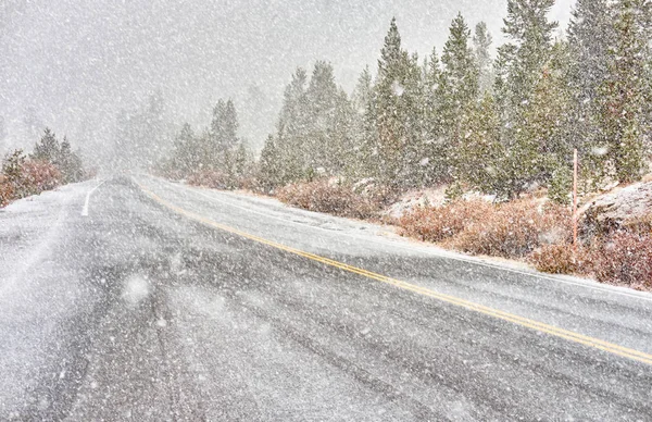 Snowstorm beginning in Yosemite National Park. Wet snowy road.