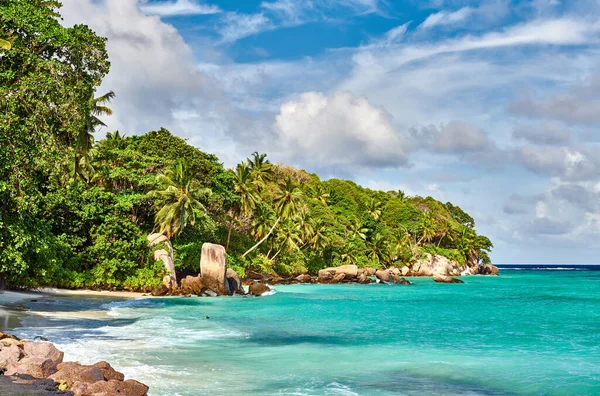 Vacker Strand Med Palm Och Klippor Landskap Seychellerna Mahe — Stockfoto