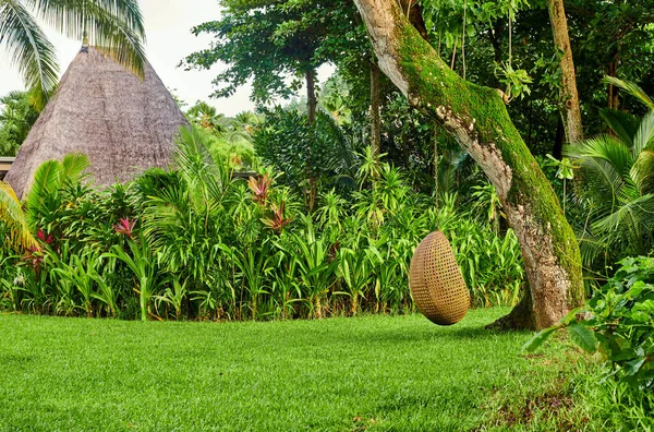 Cadeira Ovo Swing Praia Mahe Seychelles — Fotografia de Stock