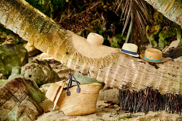 Strandtaske Huer Ved Palmetræ Ved Mahe Seychellerne - Stock-foto