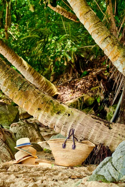 Bolsa Playa Sombreros Por Palmera Mahe Seychelles —  Fotos de Stock