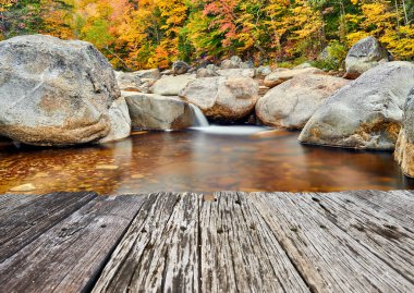 Swift River sonbaharda White Mountain Ulusal Ormanı, New Hampshire, ABD 'de çağlamaktadır. New England 'da sonbahar. 