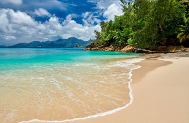 Seyşeller 'deki güzel sahil Anse Soleil, Mahe