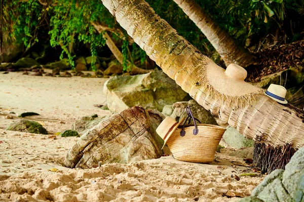 塞舌尔马埃棕榈树旁的海滩袋和帽子 — 图库照片