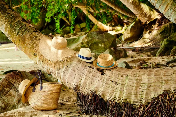 Τσάντα Παραλίας Και Καπέλα Από Φοίνικα Στο Mahe Σεϋχέλλες — Φωτογραφία Αρχείου