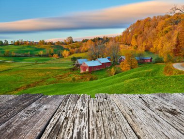 Vermont, ABD 'de güneşli bir sonbahar sabahında ahırı olan Jenne Çiftliği