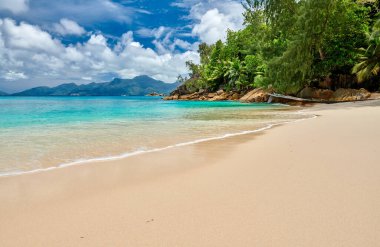 Seyşeller 'deki güzel sahil Anse Soleil, Mahe