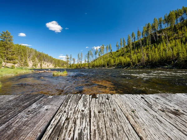 Madison River West Yellowstone Yellowstone National Park Wyoming Usa — Stock Photo, Image