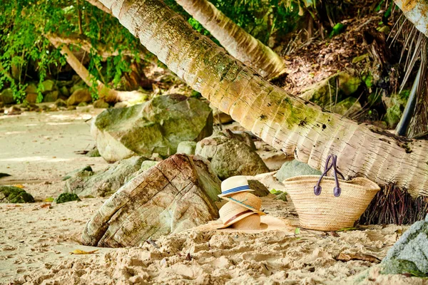 Strandtas Hoeden Bij Palmboom Bij Mahe Seychellen — Stockfoto