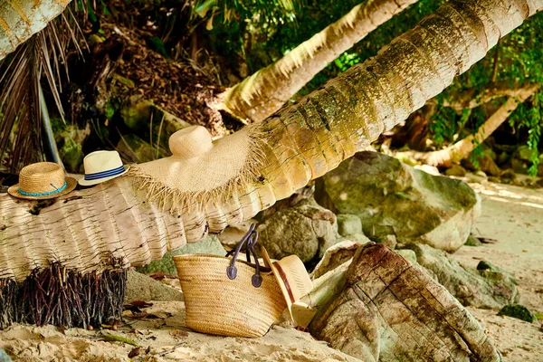 Bolsa Playa Sombreros Por Palmera Mahe Seychelles — Foto de Stock