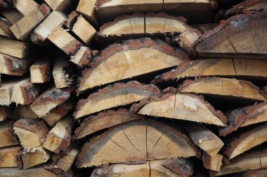 Huş ağacını kes.