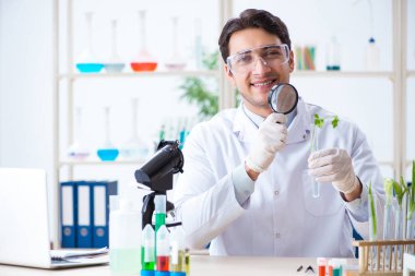 Bitkiler üzerinde çalışan erkek biyokimyacı.