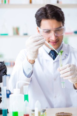 Bitkiler üzerinde çalışan erkek biyokimyacı.