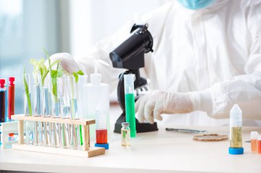 Bitkiler üzerinde çalışan erkek biyokimyacı.