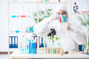 Bitkiler üzerinde çalışan erkek biyokimyacı.