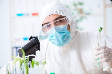 Bitkiler üzerinde çalışan erkek biyokimyacı.