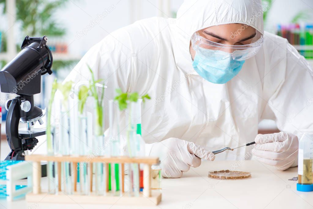 Male biochemist working in the lab on plants