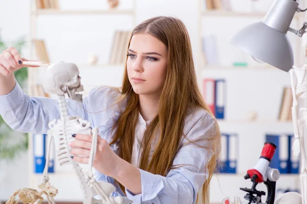 Étudiant assis en classe et étudiant le squelette — Photo