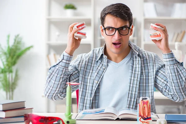 Studente di medicina che impara odontoiatria in classe — Foto Stock