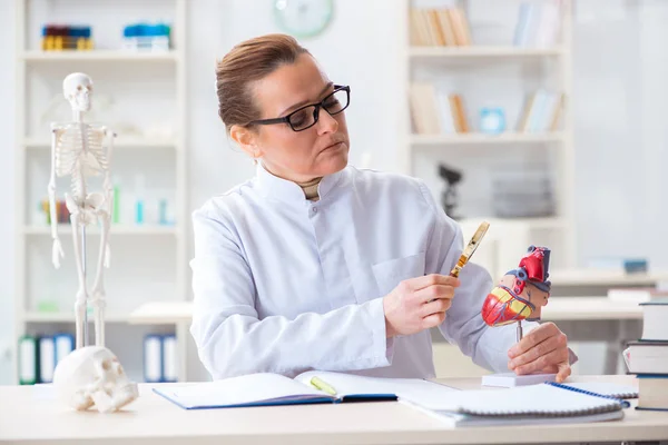 Doktor föreläsare som förklarar olika delar av hjärtat — Stockfoto