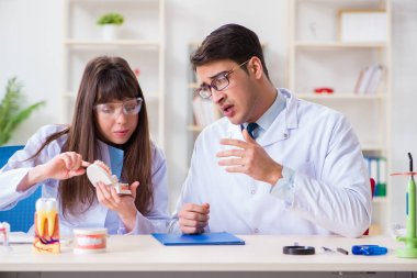 Öğrenci diş yapısını açıklayan diş hekimi