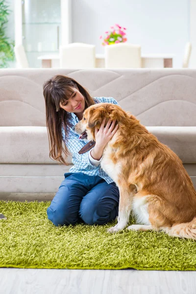 Szczęśliwa kobieta właściciel psa w domu z golden retriever — Zdjęcie stockowe