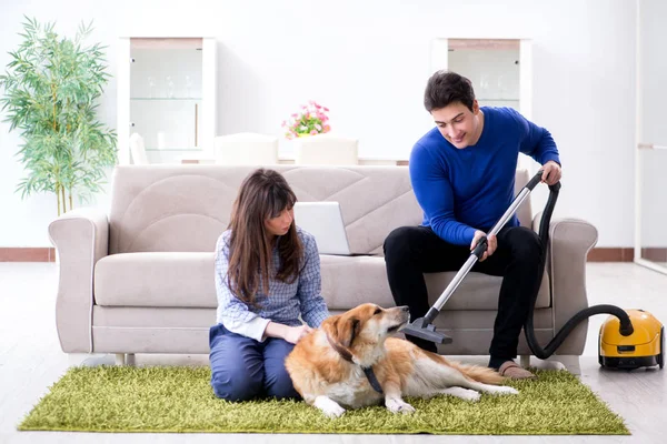Suami membersihkan rumah dari bulu anjing — Stok Foto