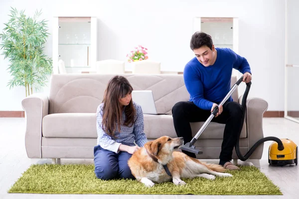 Husband cleaning house from dog fur — Stock Photo, Image