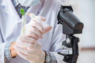 Bitkiler üzerinde çalışan erkek biyokimyacı.