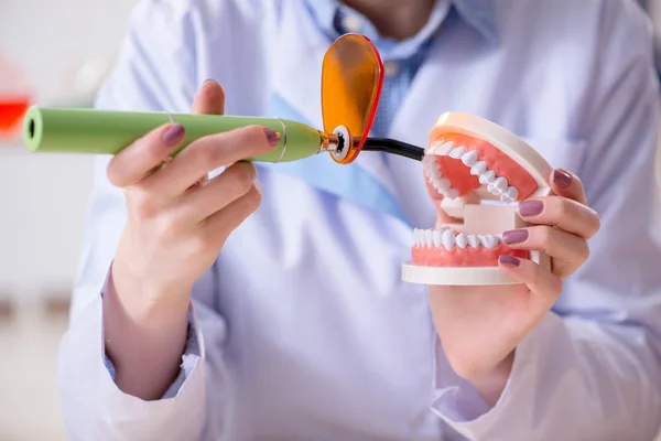 Dentista que pratica o trabalho no modelo de dente — Fotografia de Stock