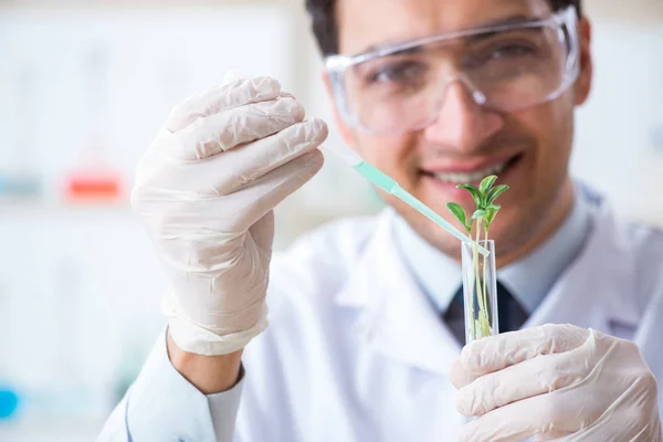 Mužský biochemik pracující v laboratoři na rostlinách — Stock fotografie