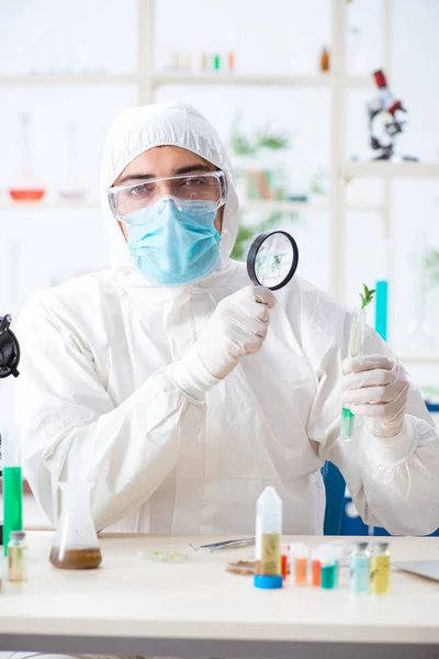 Bioquímico masculino trabalhando no laboratório em plantas — Fotografia de Stock