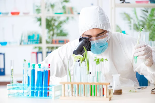 Bioquímico masculino trabalhando no laboratório em plantas — Fotografia de Stock