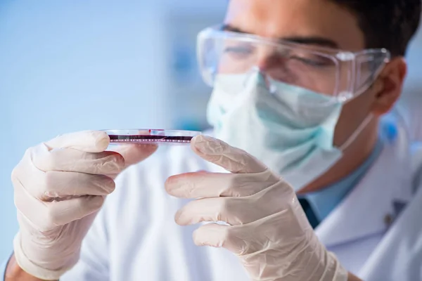 Asistente de laboratorio analizando muestras de sangre en el hospital — Foto de Stock