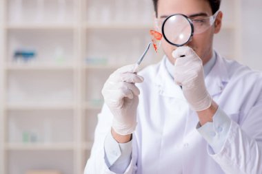 Kanıt için laboratuvarda çalışan uzman bir kriminolog.