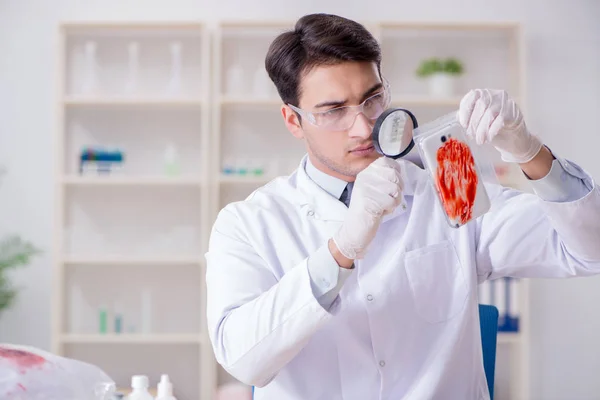 Criminólogo experto trabajando en el laboratorio para obtener evidencia —  Fotos de Stock