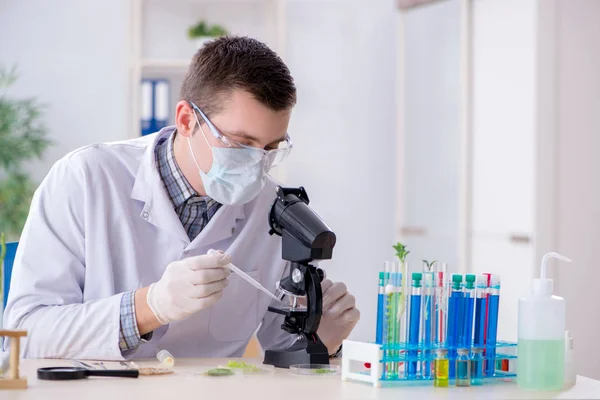 Männlicher Biochemiker arbeitet im Labor an Pflanzen — Stockfoto