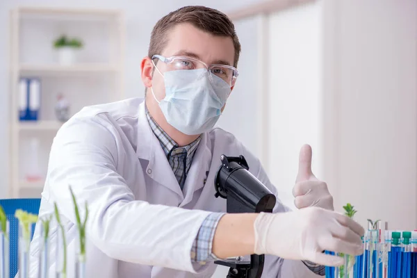 Mužský biochemik pracující v laboratoři na rostlinách — Stock fotografie