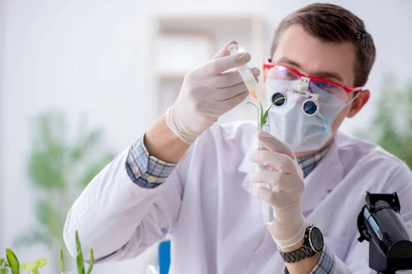 Bioquímico masculino trabalhando no laboratório em plantas — Fotografia de Stock